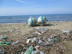 Ambiente, Ichnusa: ripulita spiaggia San Vero Milis