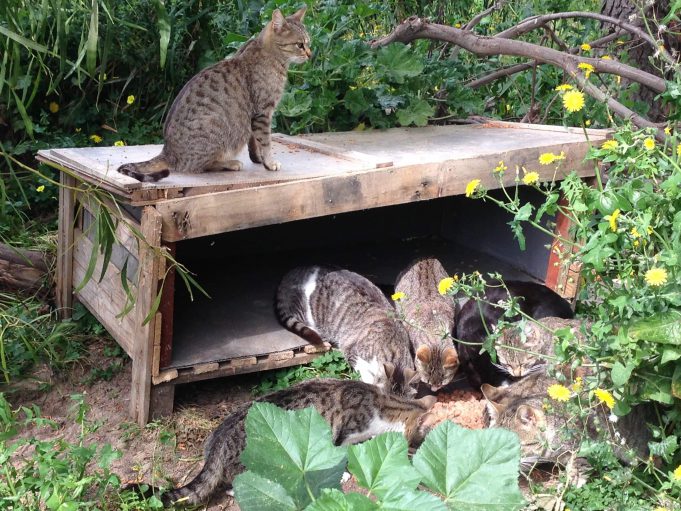 received_988106518057772