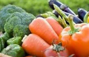 Cagliari, al via la festa dell’agricoltura biologica