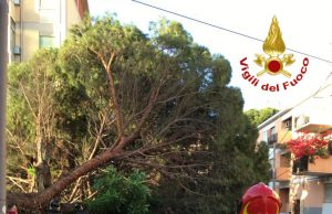 Cagliari, crolla albero: tanta paura ma nessun ferito