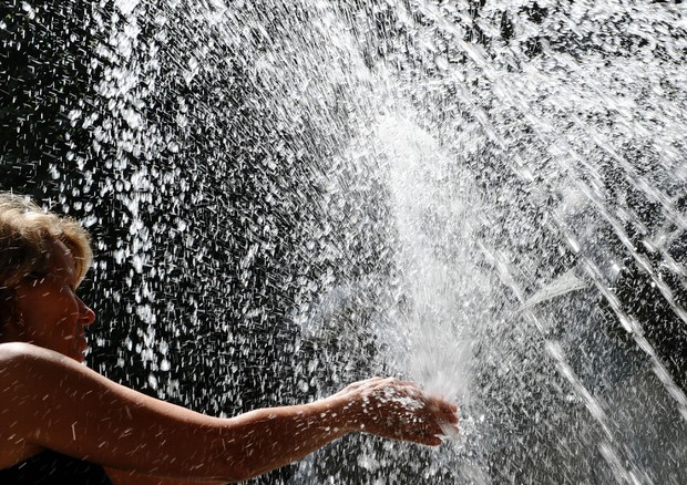 cbd4d47cabb9c7ab7dbb5af4aa3b110d