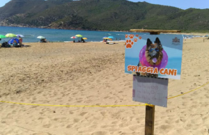 Cagliari, al via la procedura per l’affidamento del servizio spiaggia cani