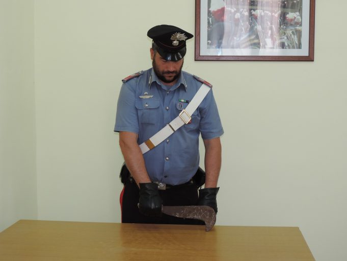 WhatsApp-Image-2019-06-16-at-11.58.37