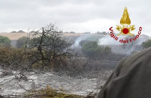 Sassari, vasto incendio in località La Corte: Vigili del fuoco mettono in salvo animali e insediamenti agricoli