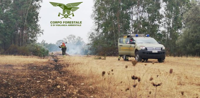 IMG-20190709-WA0022-1