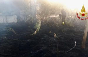 Incendio nella campagne di Donori: intervento dei vigili