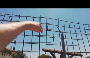 Fiamme alte a Molentargius: il fuoco distrugge l’area protetta