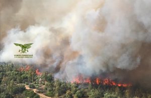 Vasto incendio a Tortolì, evacuate case e campeggi