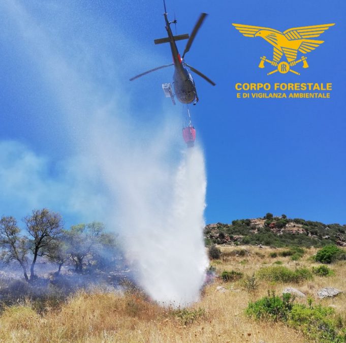 IMG-20190725-WA0083-16