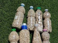 Sequestrati all’aeroporto di Elmas 70 chili di sabbia rubata: nei guai diversi turisti