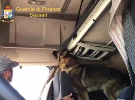 Cocaina per 2mln di euro sequestrata in porto a Olbia