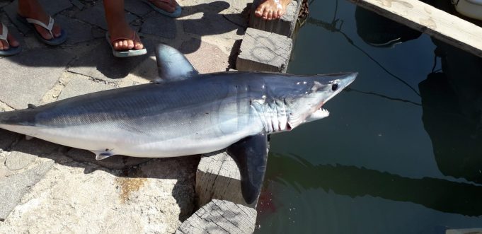 70b27327-87ec-4c70-9d47-062e61b04dcf