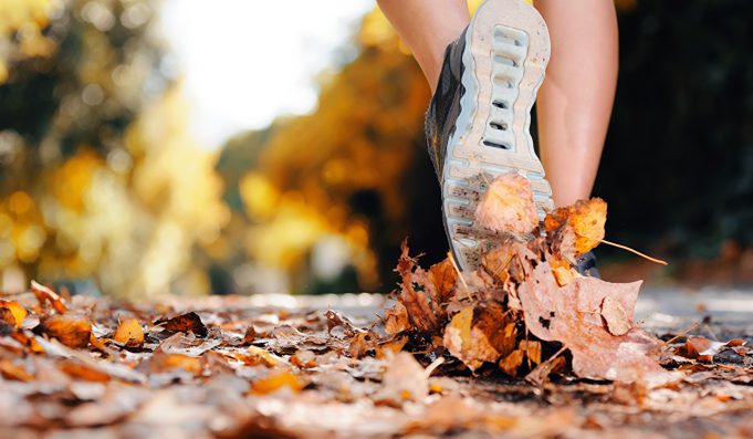 Autumn_Closeup_Athletic_449454