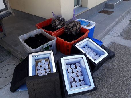 Quartu, sequestro ricci