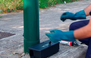 Cagliari, derattizzazione nelle vie della città: ecco dove e quando