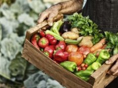 Manifesto Slow Food compie 30 anni. Al via le celebrazioni