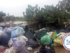 Discarica abusiva a Quartucciu, le foto di Riccardo Leone– Mobilitati con noi!