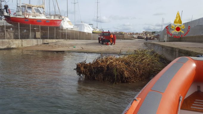 IMG-20191126-WA00321