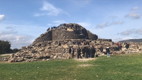 Vino Grenaches Barumini