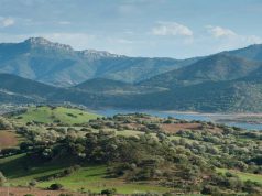 Danni da alluvione e incendi, piano per il Parco Tepilora