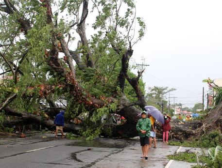 Aftermath of Typhoon Kammuri in the Philippines