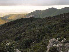 Morgongiori, Grig: “La discarica nella cava dismessa sul Monte Arci non si può fare”