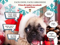 Animali a Natale, quando regalarne uno | #adottaconsapevolmente adottare un animale a natale
