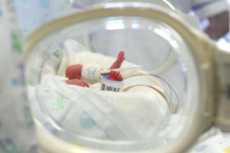 Capodanno: al Bambino Gesù primo operato è neonato 'piuma'