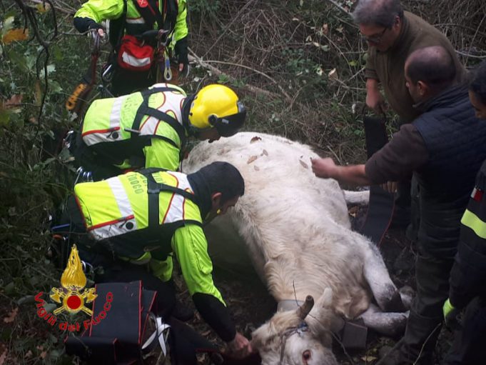 81845566_479554396084504_1977607679874433024_n