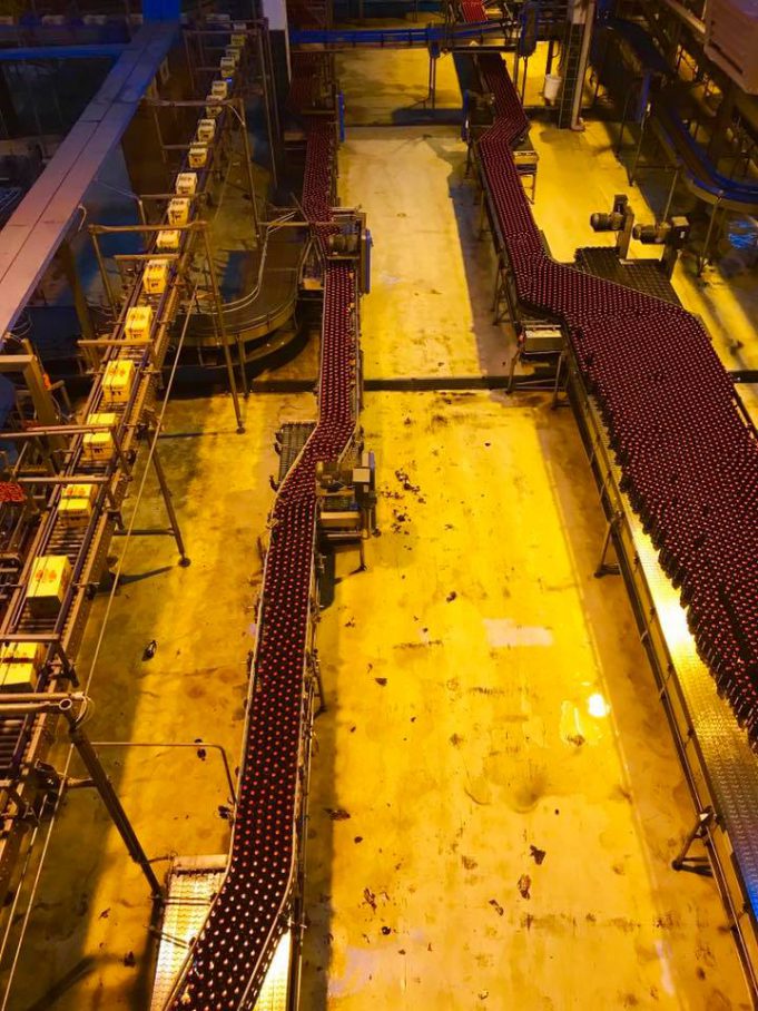 45809601_2110402832357668_2294357901591969792_n