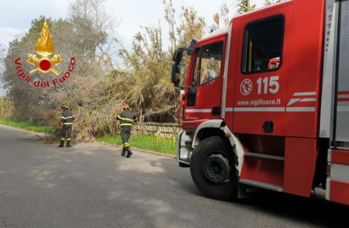 7c40119c-772c-4aba-b614-a9708aba7c8b