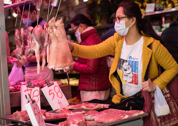 fc9dbc644f6297492471539a8f613abe