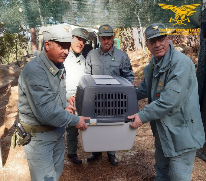 49534077636_54ea830980_k