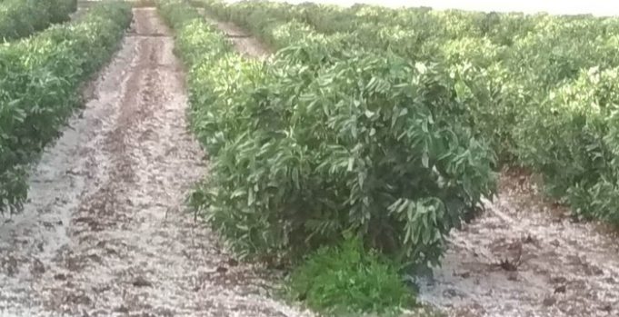 Grandinata nel cagliaritano