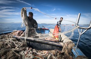 Sardegna, al via bando alle imprese di pesca e acquacoltura