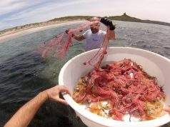 Sequestrata rete illegale nell’Area marina protetta del Sinis