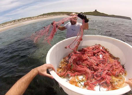 79a2a457dd568d16d384e77b71eb4ff2-2