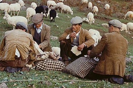 765ec9ae7d6bb4ccae9f132aba843cee-1