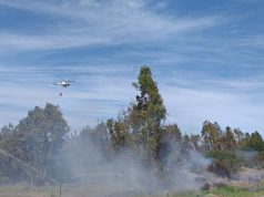 Vasto incendio nella campagna di Arborea: sul posto un elicottero della Forestale
