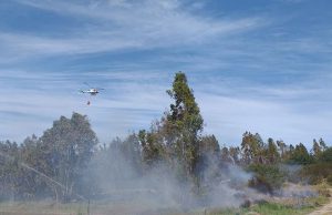 Vasto incendio nella campagna di Arborea: sul posto un elicottero della Forestale