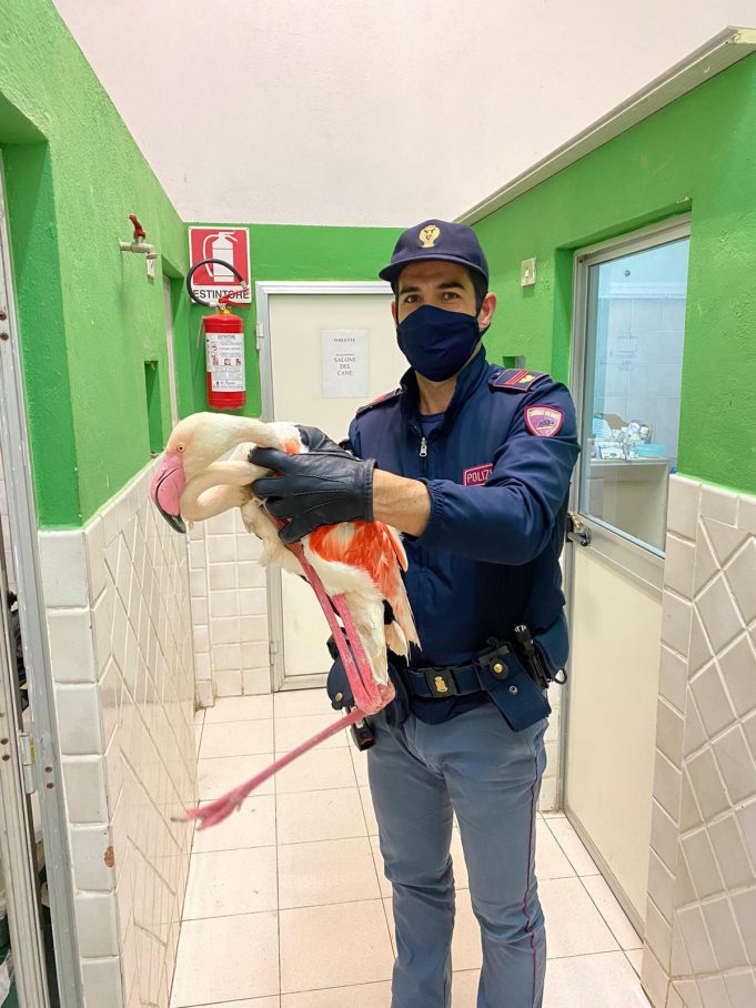 d2730463-c573-4fae-b2c7-e61534aa803a