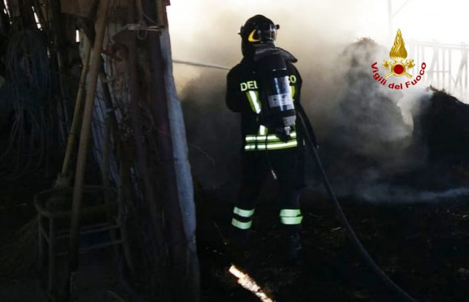 45056cad-3291-4f6a-b1d1-fdf0148044ef