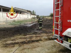 Roghi e danni per il forte vento, decine di interventi dei vigili del fuoco nell’Oristanese