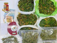 Monserrato, coltiva marijuana in casa. Sequestrati 5 kg di erba: arrestato un pregiudicato
