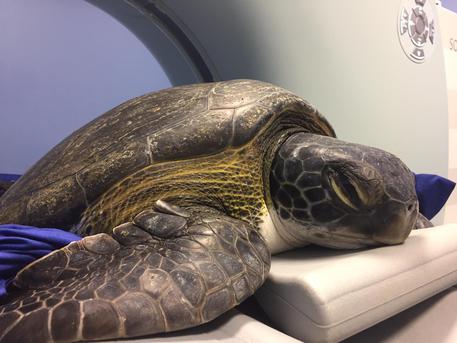 835586e85eab9b8f29aa350e3c4ec5ac