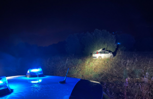 Villacidro, investe due cavalli e perde il controllo dell’auto