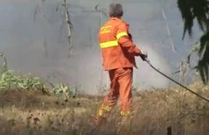 “Sempre meno personale Forestas per la lotta ai roghi”: la denuncia di Anci Sardegna