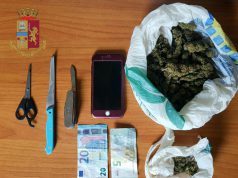 Pianta di marijuana in casa: arrestato per spaccio un 30enne