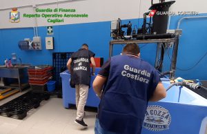 Traffico illegale di ricci di mare ad Alghero: 25 gli indagati tra cui 6 ristoratori