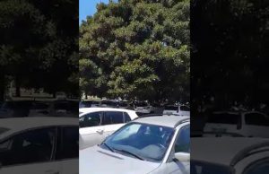 Cagliari, piazzale Trento abbandonato e sporco: la denuncia